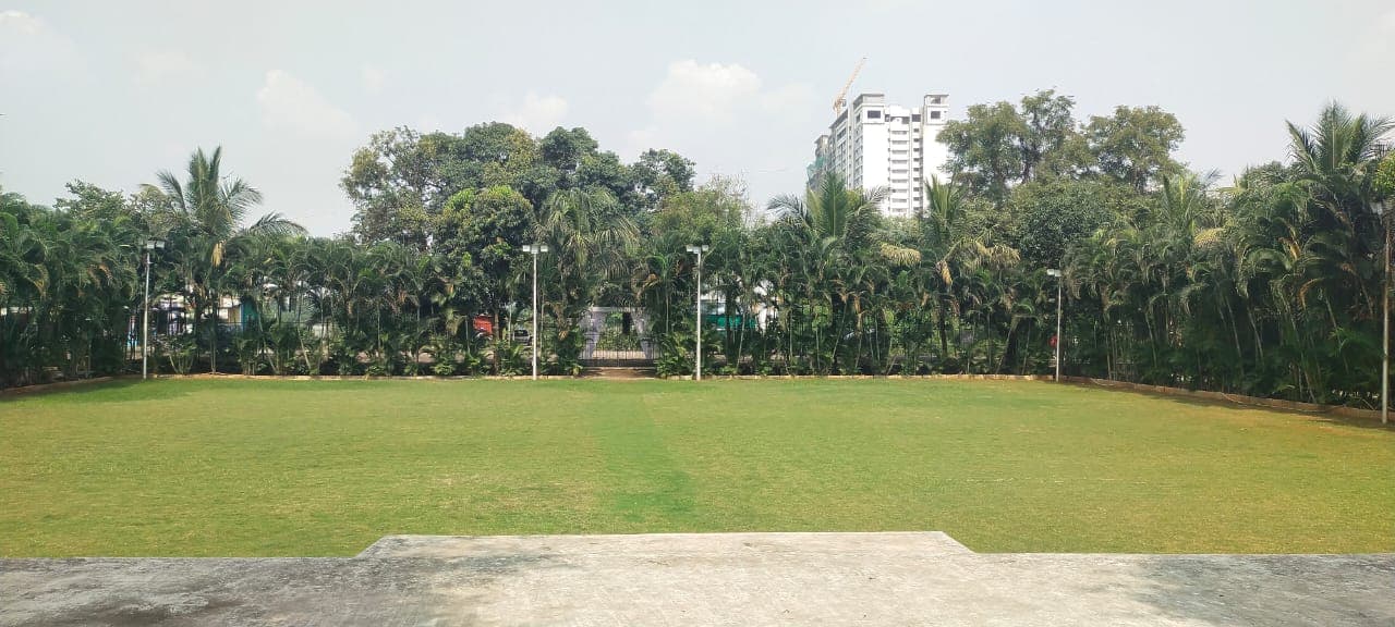 lawns.title - 4